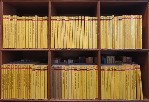 Lotto 100 libri giallo - lotto, il